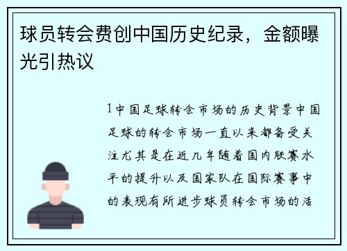 球员转会费创中国历史纪录，金额曝光引热议